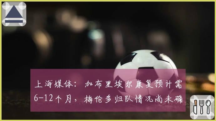 上海媒体：加布里埃尔康复预计需6-12个月，梅伦多归队情况尚未确定