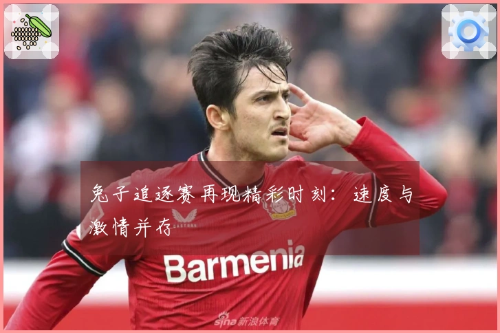 兔子追逐赛再现精彩时刻：速度与激情并存