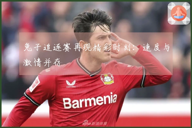 兔子追逐赛再现精彩时刻：速度与激情并存